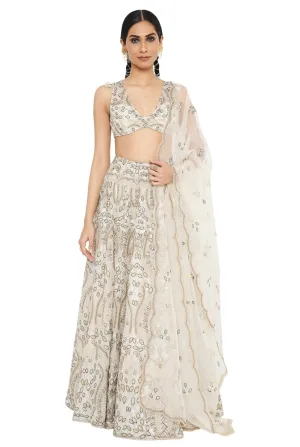 Aalaya Lehenga Set