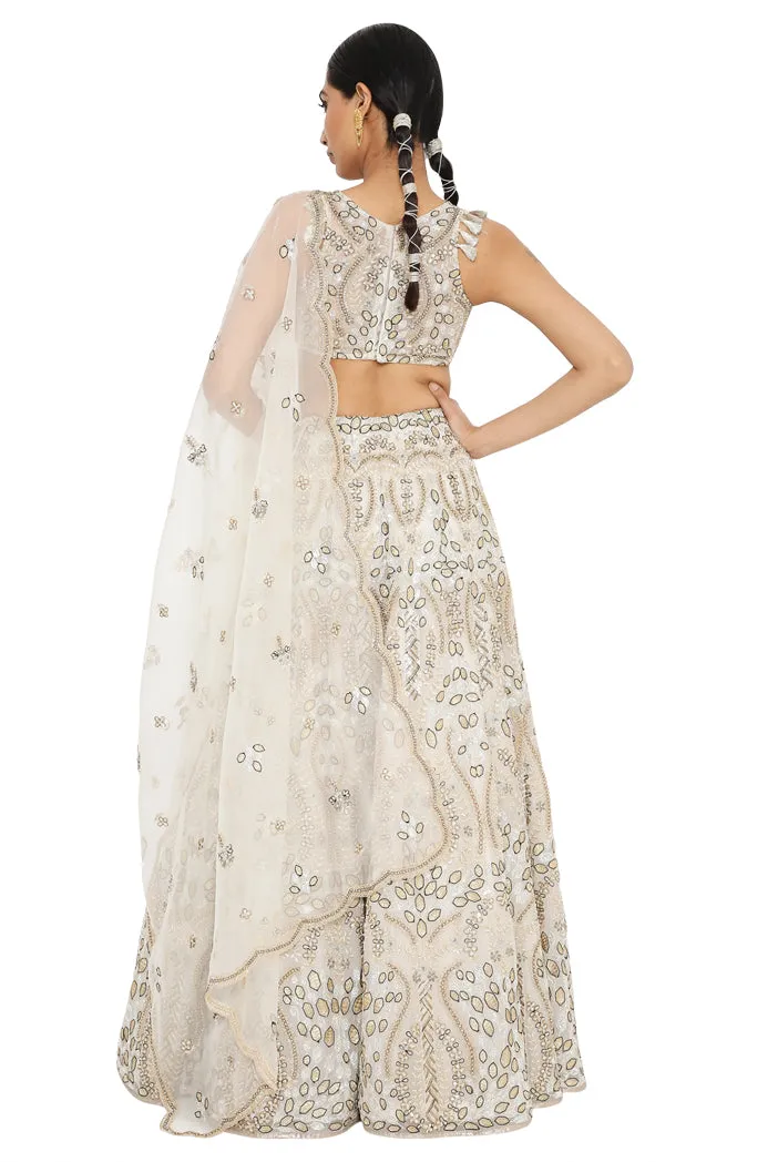 Aalaya Lehenga Set