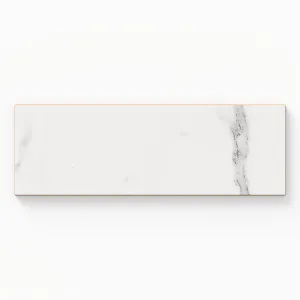 Julianna 4x12 Glossy Ceramic Tile in Carrara Sample